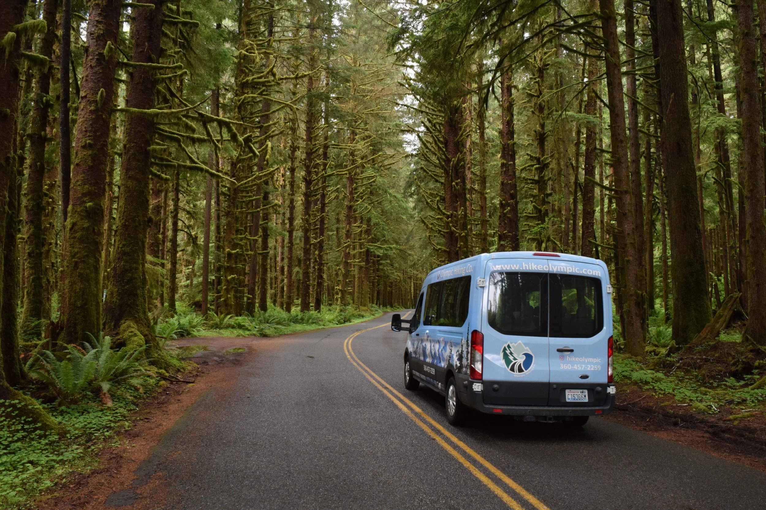 Founding Story For Our Tours And Shuttles Olympic Hiking Co Hoh Rain Forest OHC Van 
