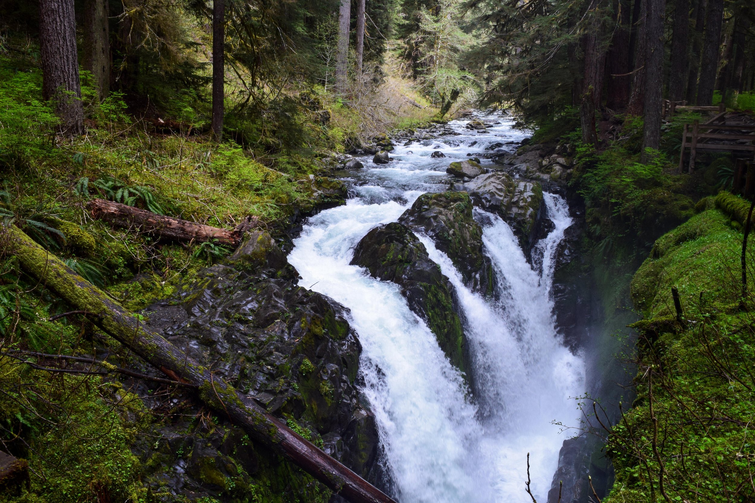   Sol Duc Falls   8-9 Hour Guided Tour in Olympic National Park 