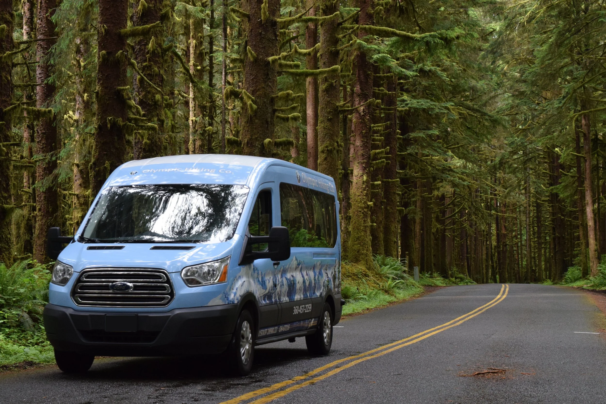 Driving Van Hoh Rain Forest.jpeg