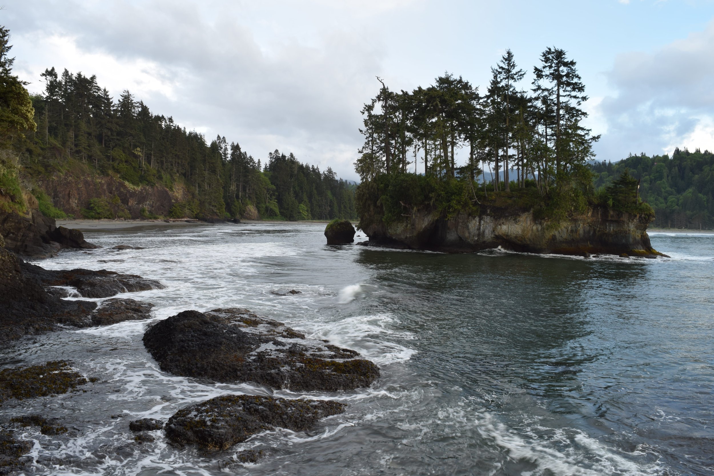   Salt Creek   Half Day Guided Tour in Olympic National Park 