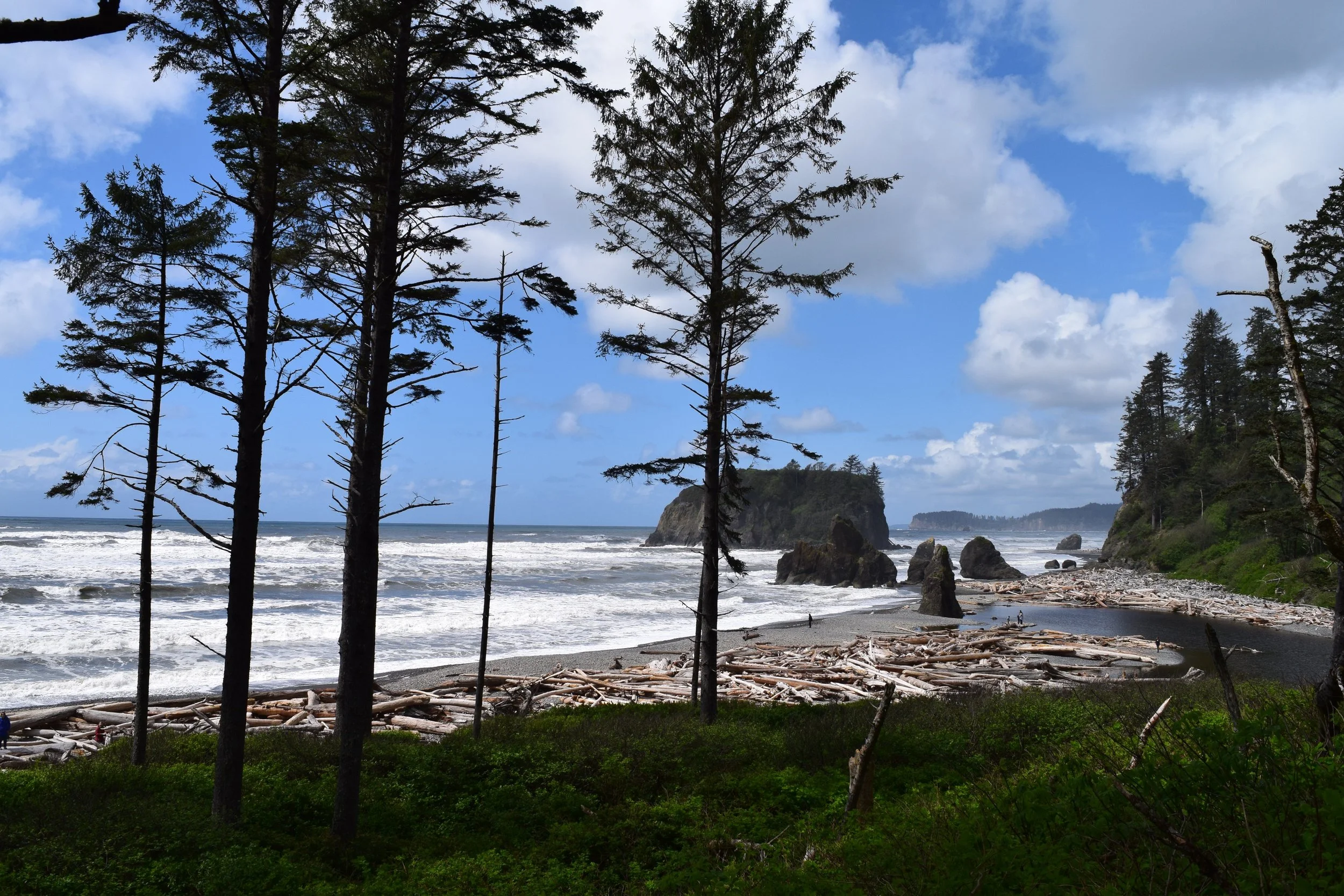   Ruby Beach   8-9 Hour Guided Tour in Olympic National Park 