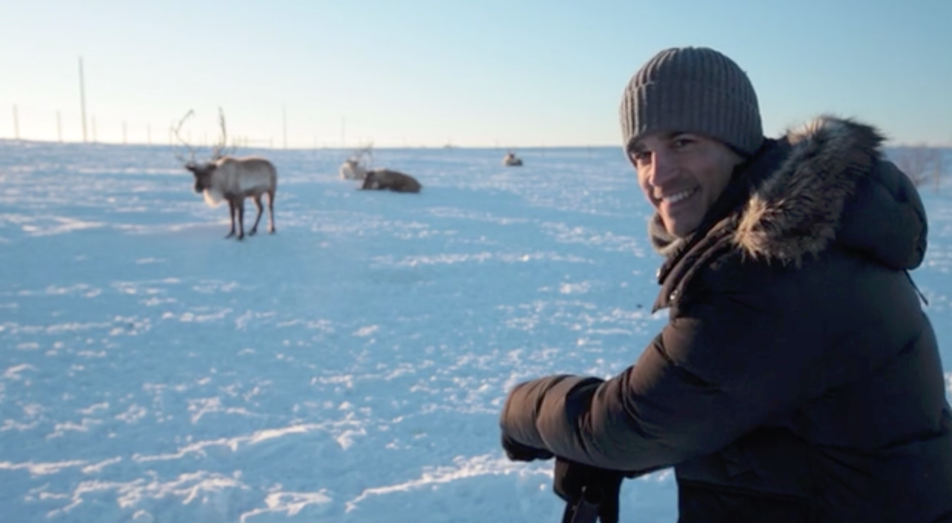 Reindeer / Gap