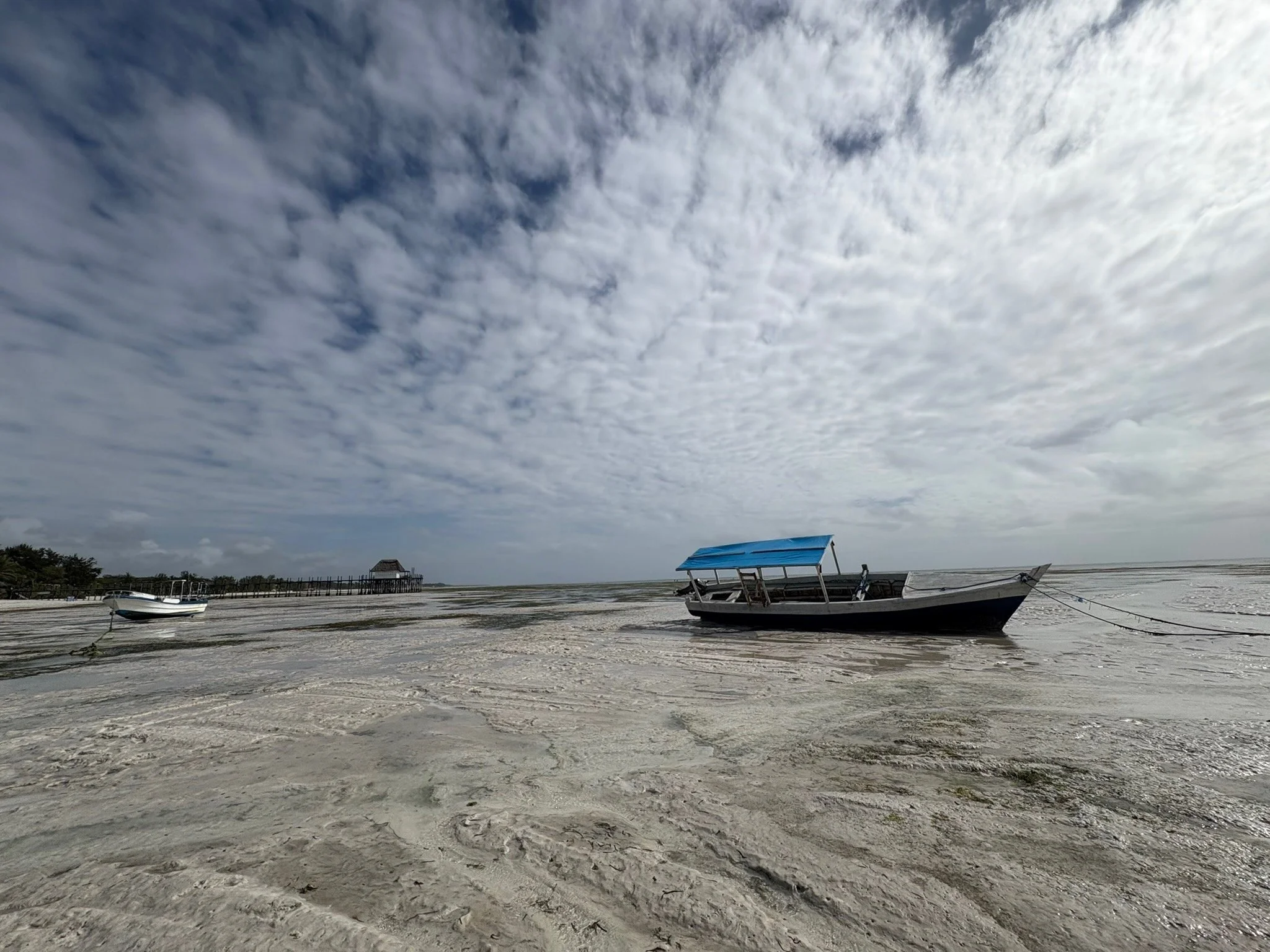 IMG_1725 (1).jpeg