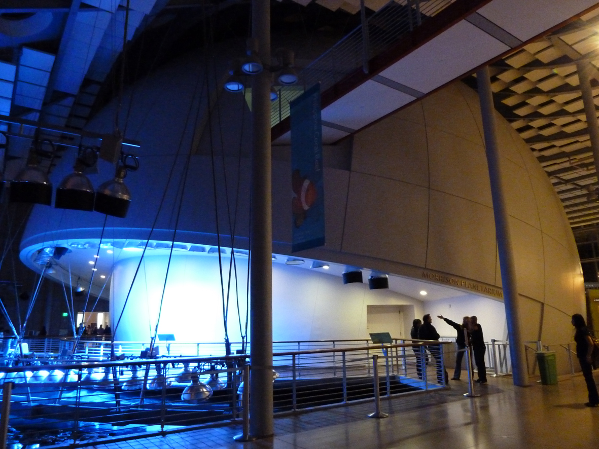  The Morrison Planetarium, California Academy of Sciences. Photo: Paul Grimmer. 