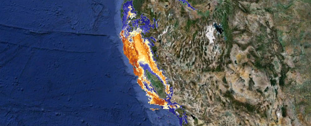  Can we plan where to focus restoration and "re-oaking" efforts today&nbsp;to ensure Valley Oak resilience in the future under climate change? Habitat suitability models were generated using museum records and future greenhouse gas emissions scenario