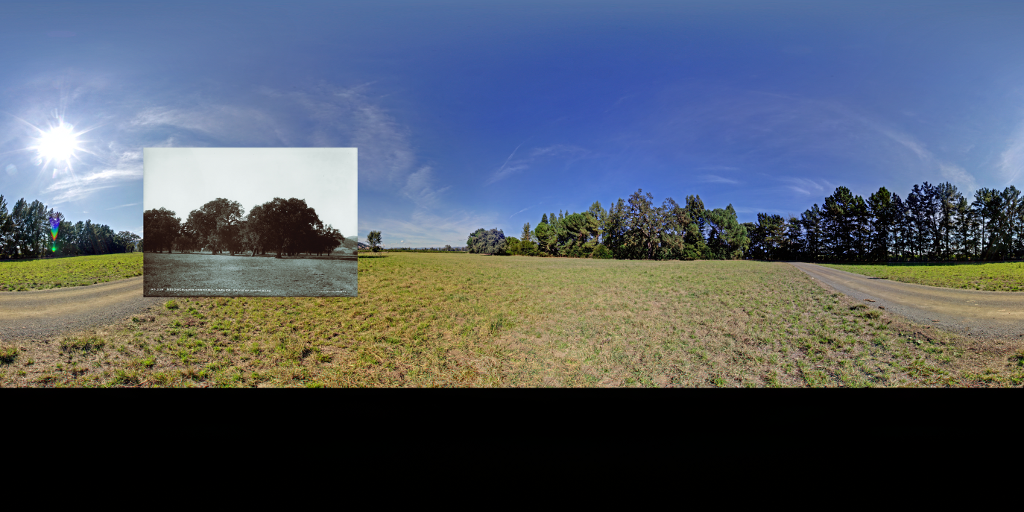  We zoom into and "land" in a 300+ year old&nbsp;Valley Oak grove&nbsp;in the township of&nbsp;Oak Knoll and layer photos taken of that same grove in 1906. Property owners play a role in stewardship and protection. 