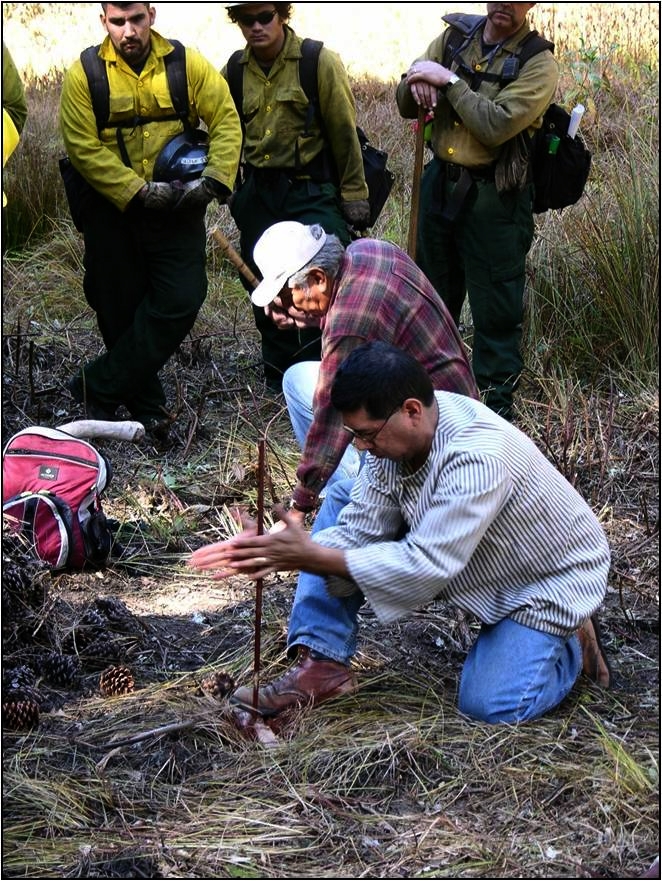   Re-oaking brings together native and western&nbsp;world views; benefiting&nbsp;Valley Oak ecosystems and the human communities that rely on them. Photo: Brent Johnson, NPS.  