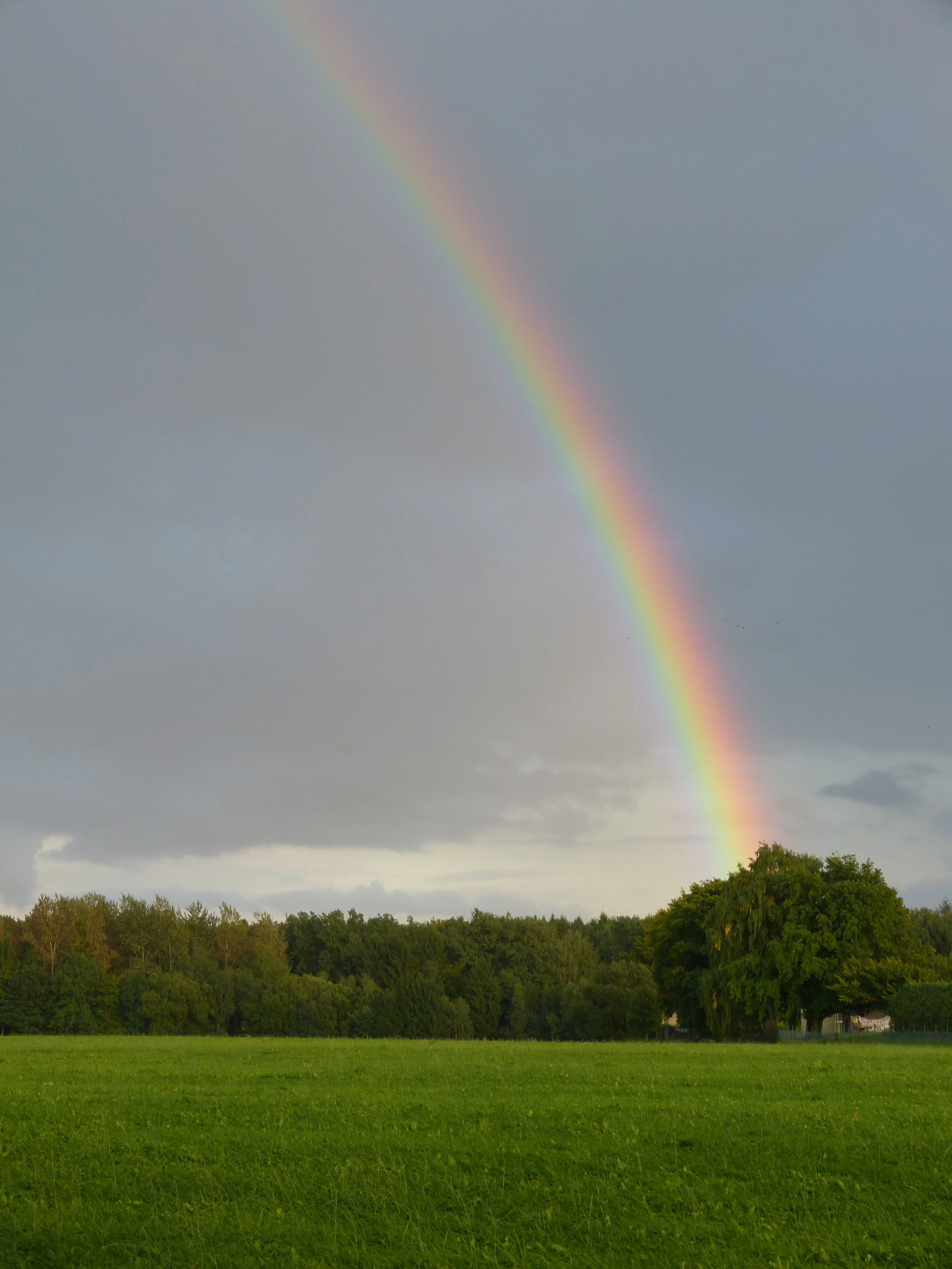 Regenbogen.JPG