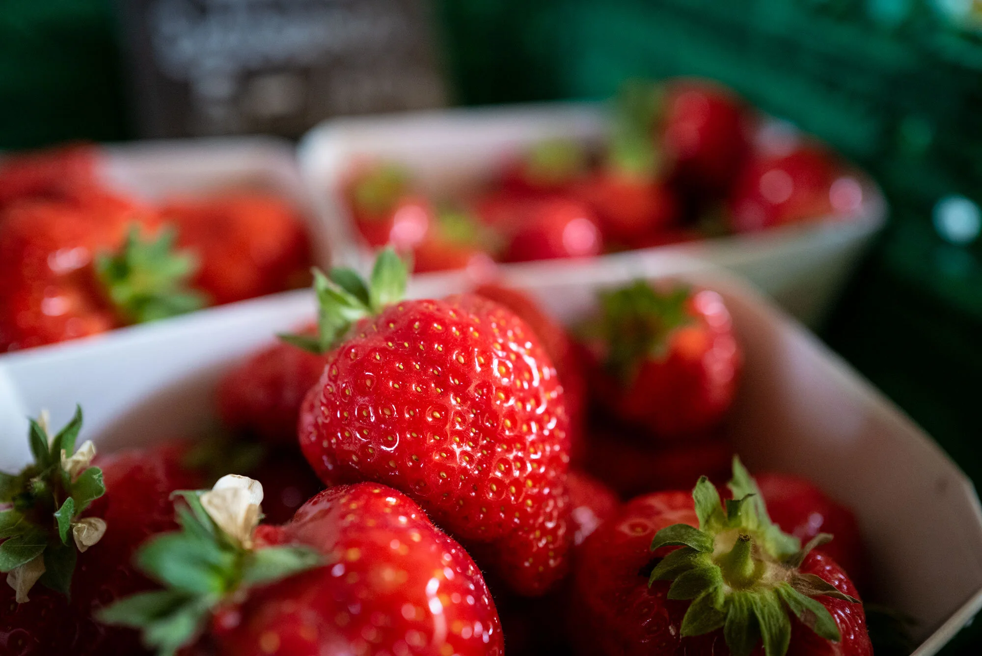 Seetaler Erdbeeren