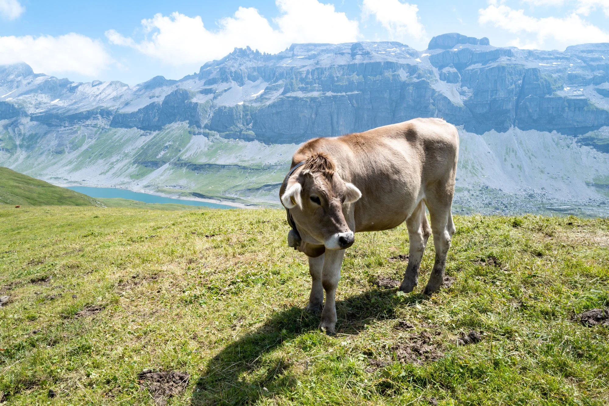 Sommerpause Hofladen