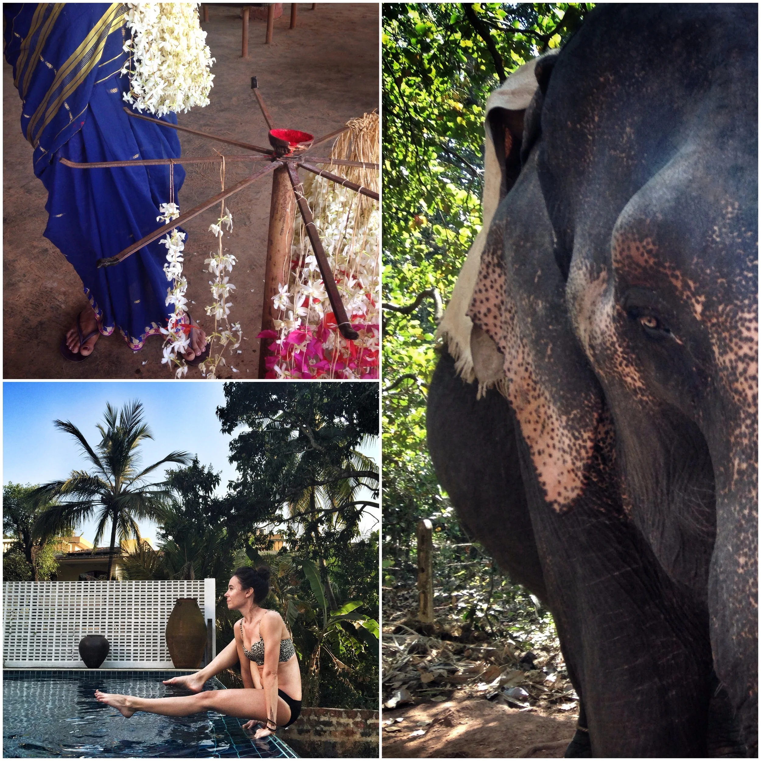 FEB 14-20, 2016<br>GOA, INDIA<br>FORM+FOCUS<br>ART & YOGA RETREAT