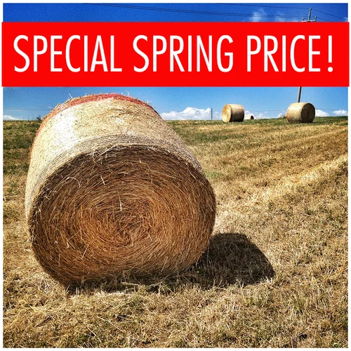 MAY 1-7, 2016<br>7 DAY PAINTING & DRAWING COURSE<br><br>