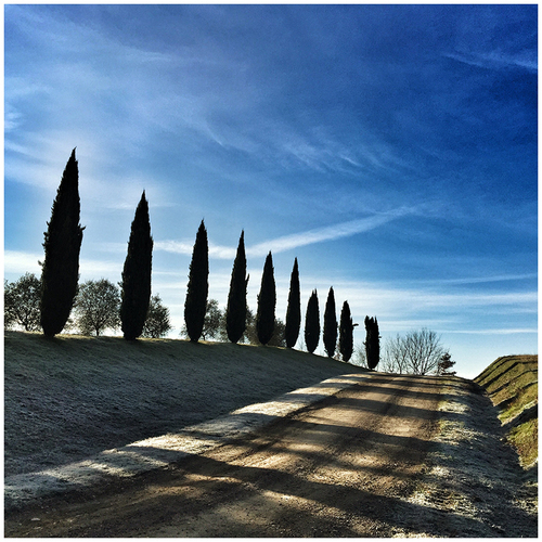 June 12-15, 2016<br> EXPRESS PAINTING COURSE