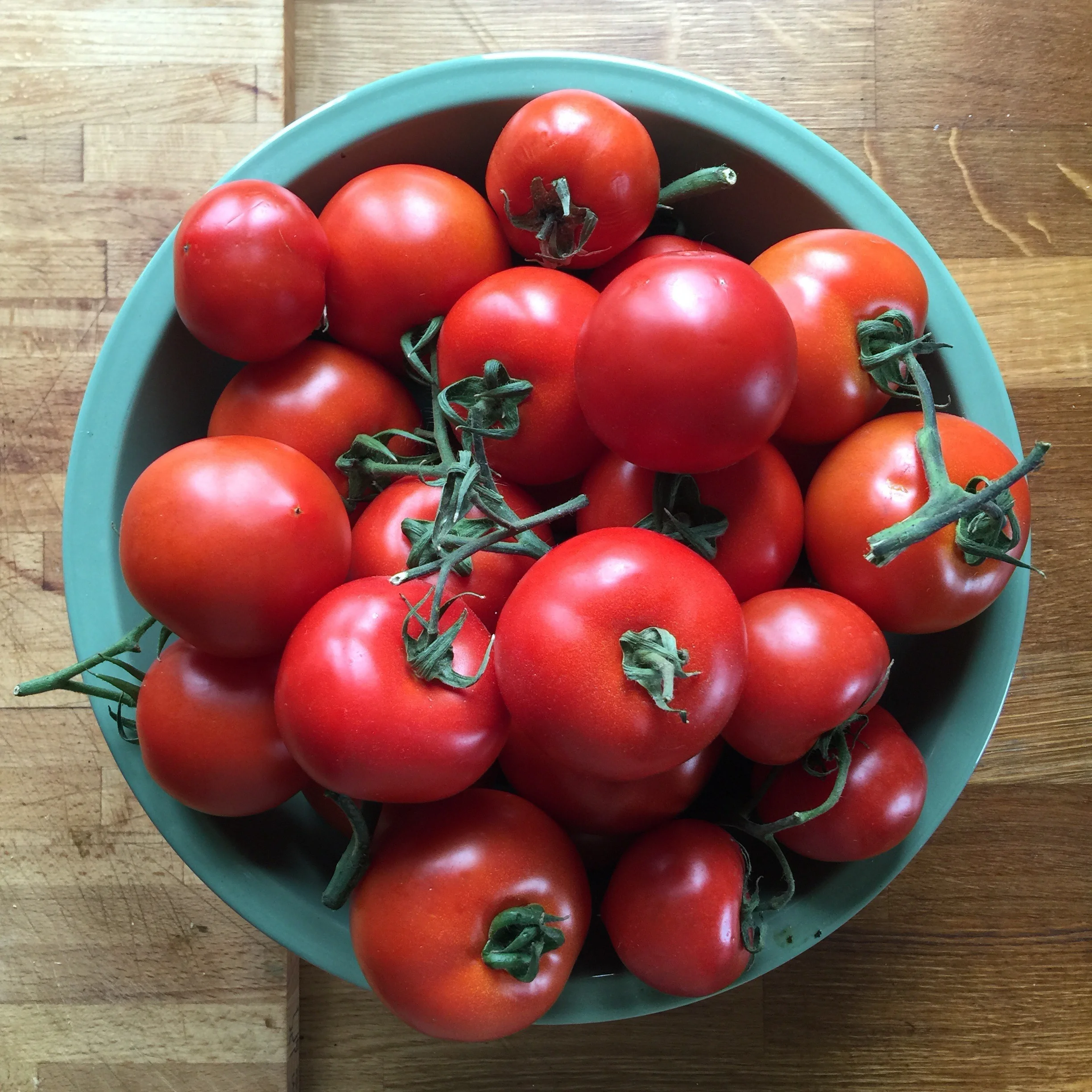 SEPTEMBER 11-17, 2016 <br>7 DAY PAINTING & DRAWING