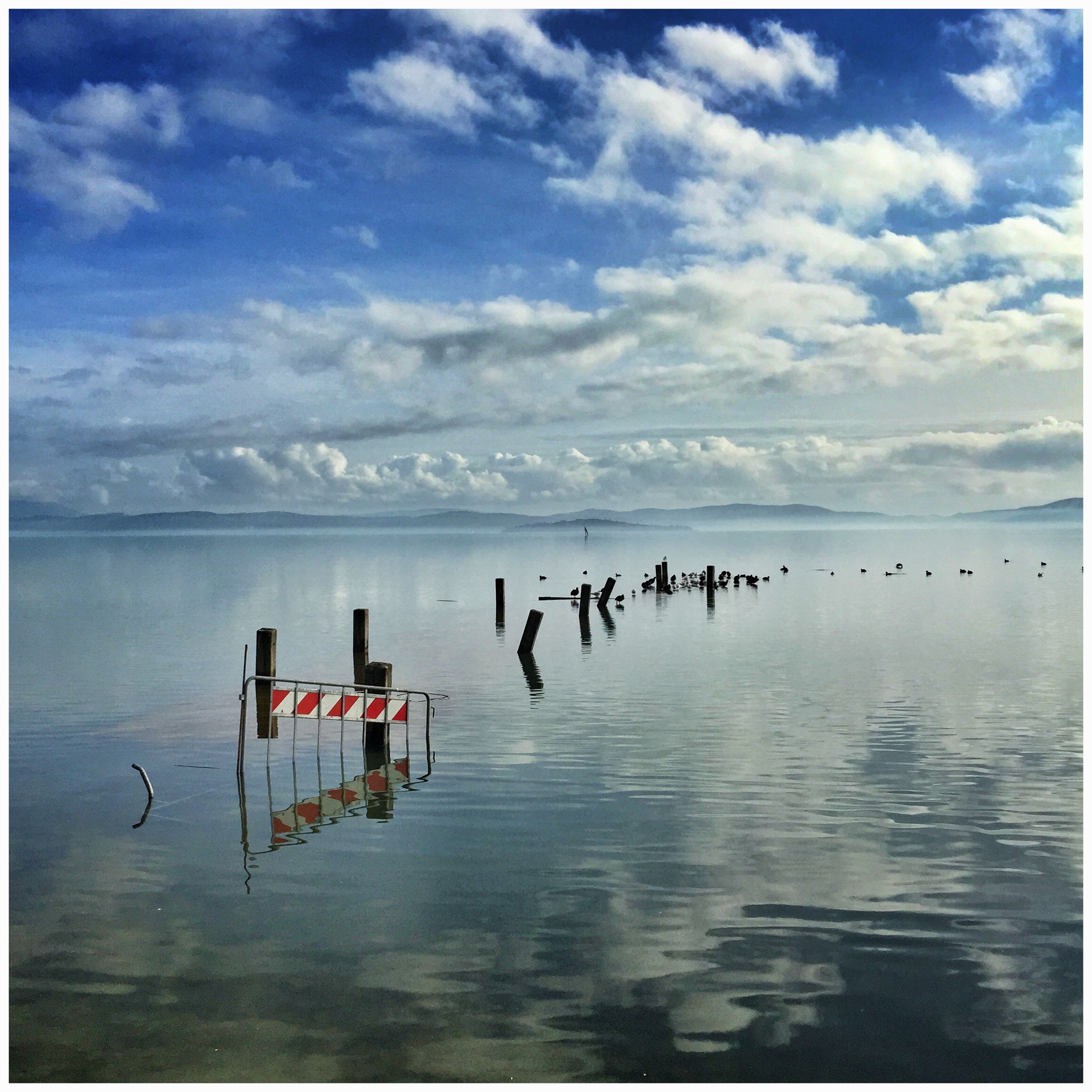 OCTOBER 2-8, 2016<br>7 DAY PAINTING & DRAWING