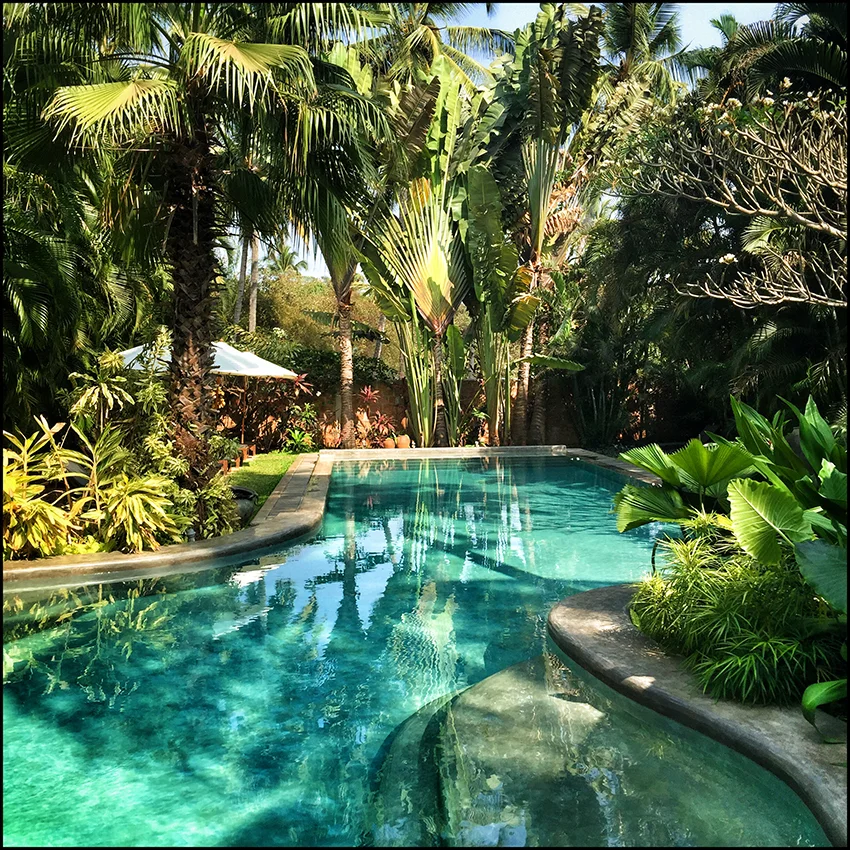 FEBRUARY 5-11, 2017<br>GOA, INDIA<br>FORM+FOCUS<br>ART & YOGA RETREAT