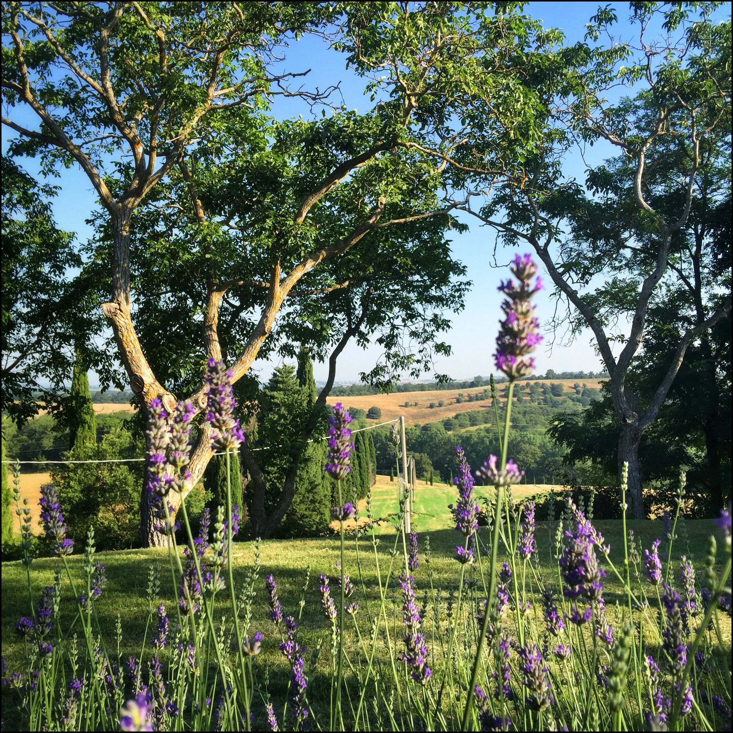 JULY 16-22, 2017<br>7 DAY PAINTING & DRAWING 