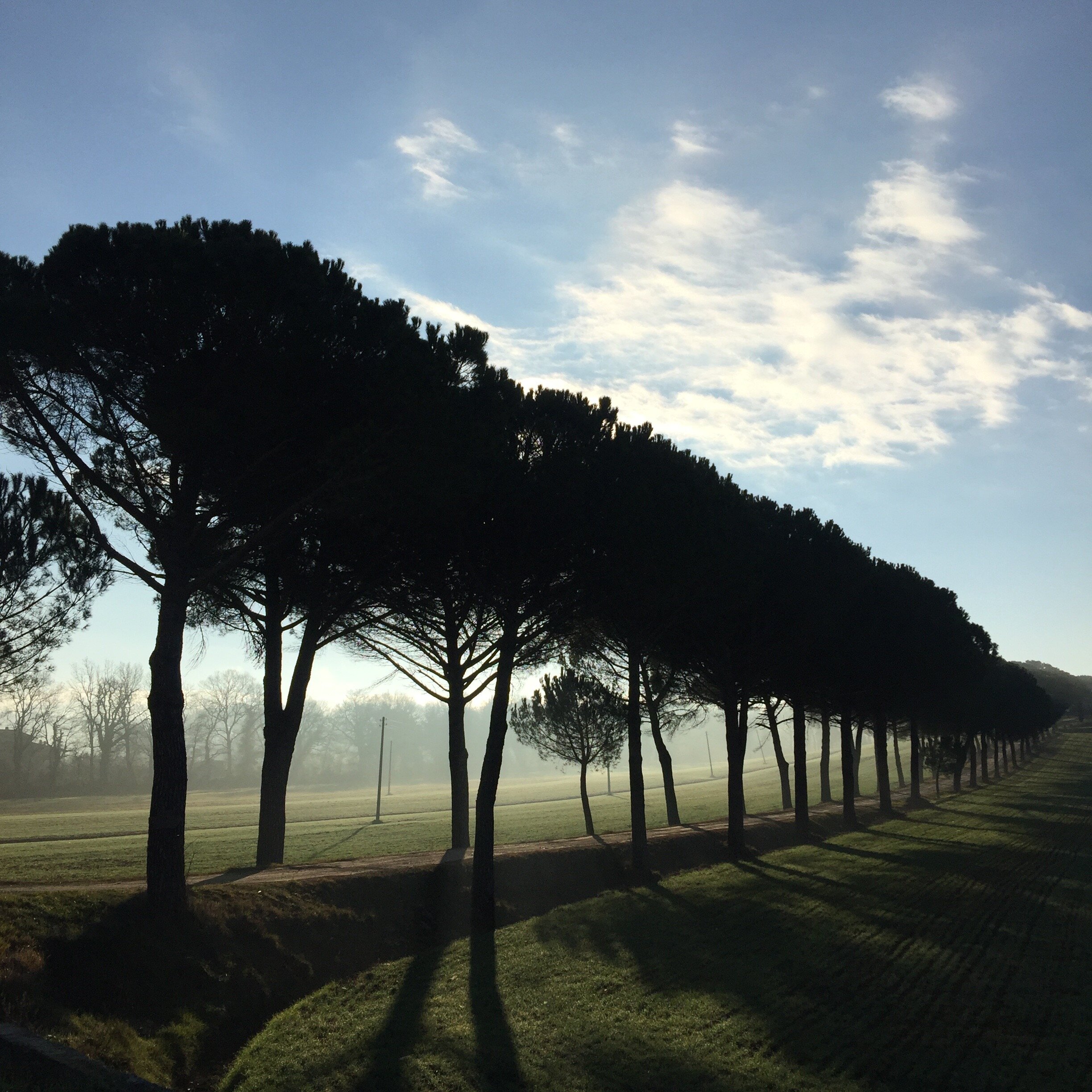 VIRTUAL STUDIO \ PAINT TOGETHER \ APR 21, 2021