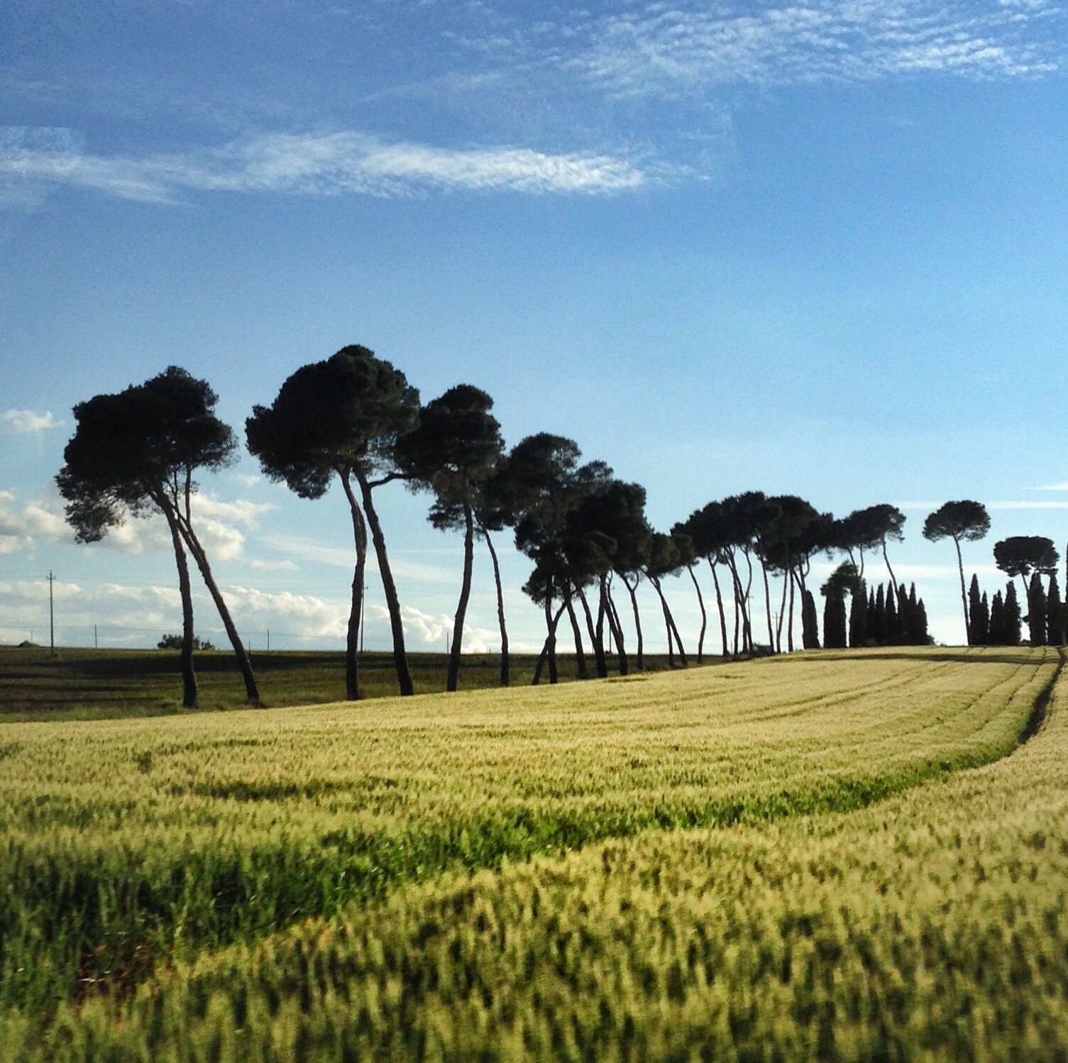 VIRTUAL STUDIO \ PAINT TOGETHER \ JULY 21, 2021