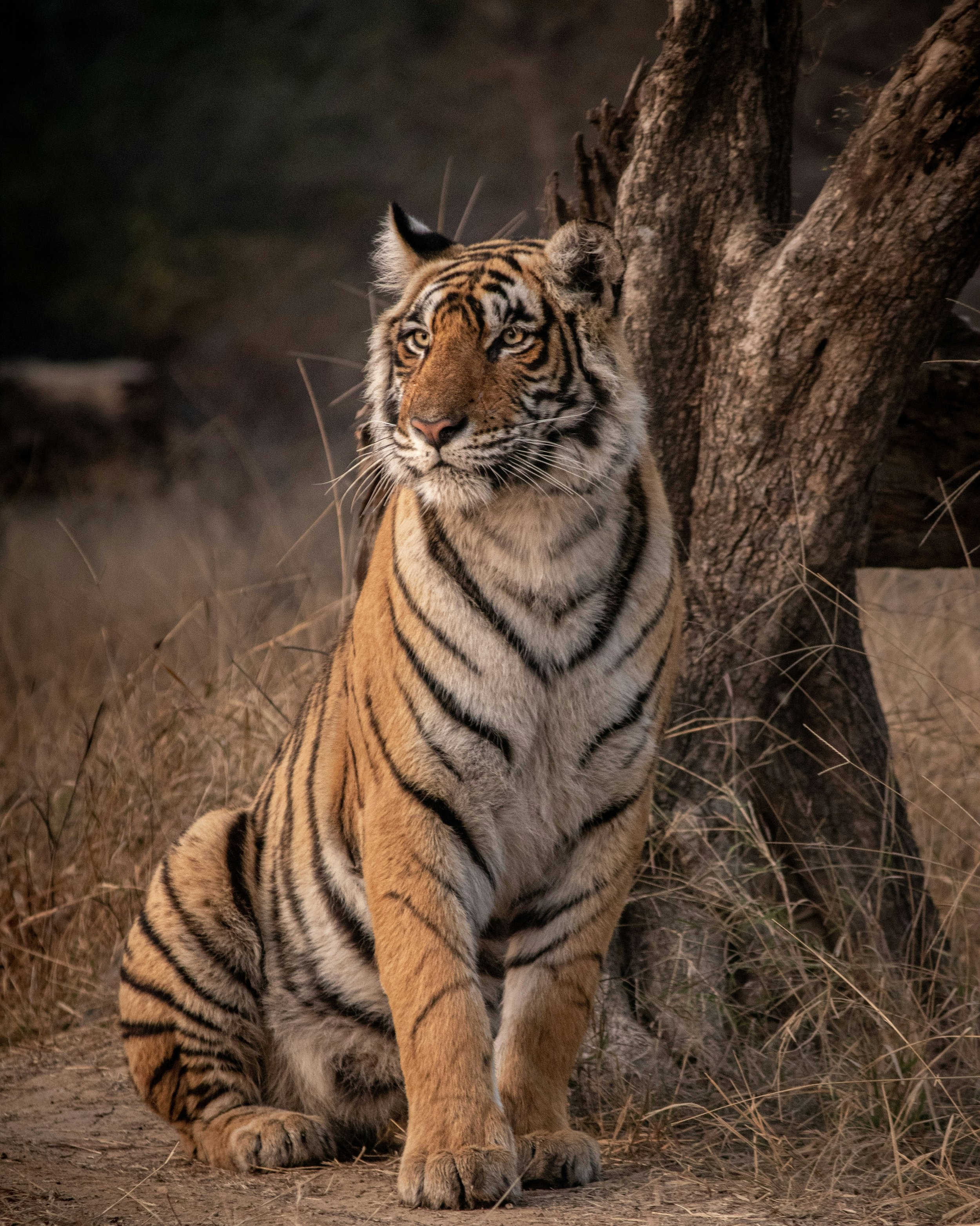 kartik-iyer-XCg1BQf-fso-unsplash.jpg