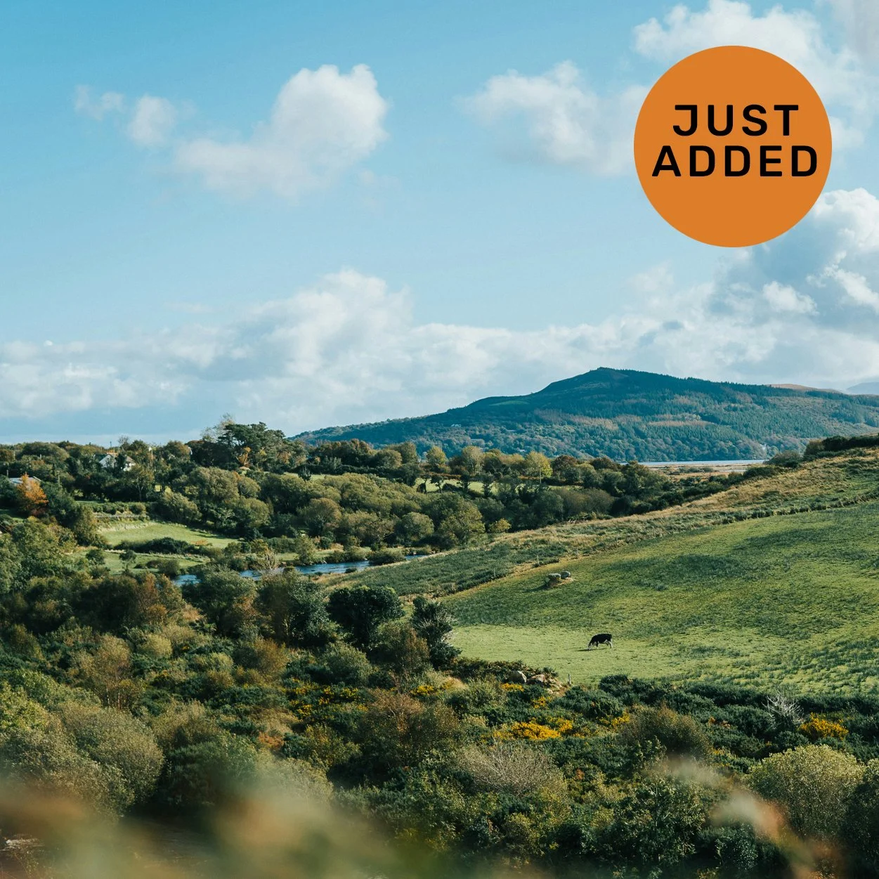 AUG 23-28, 2027 \ IRELAND \ ART + WELLNESS + CULTURE