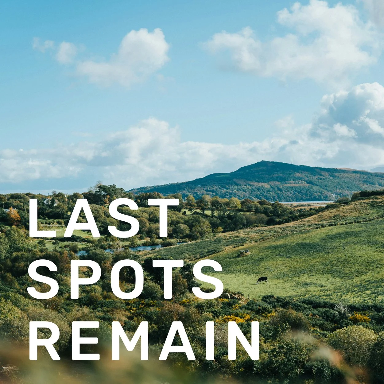 AUG 23-28, 2027 \ IRELAND \ ART + WELLNESS + CULTURE