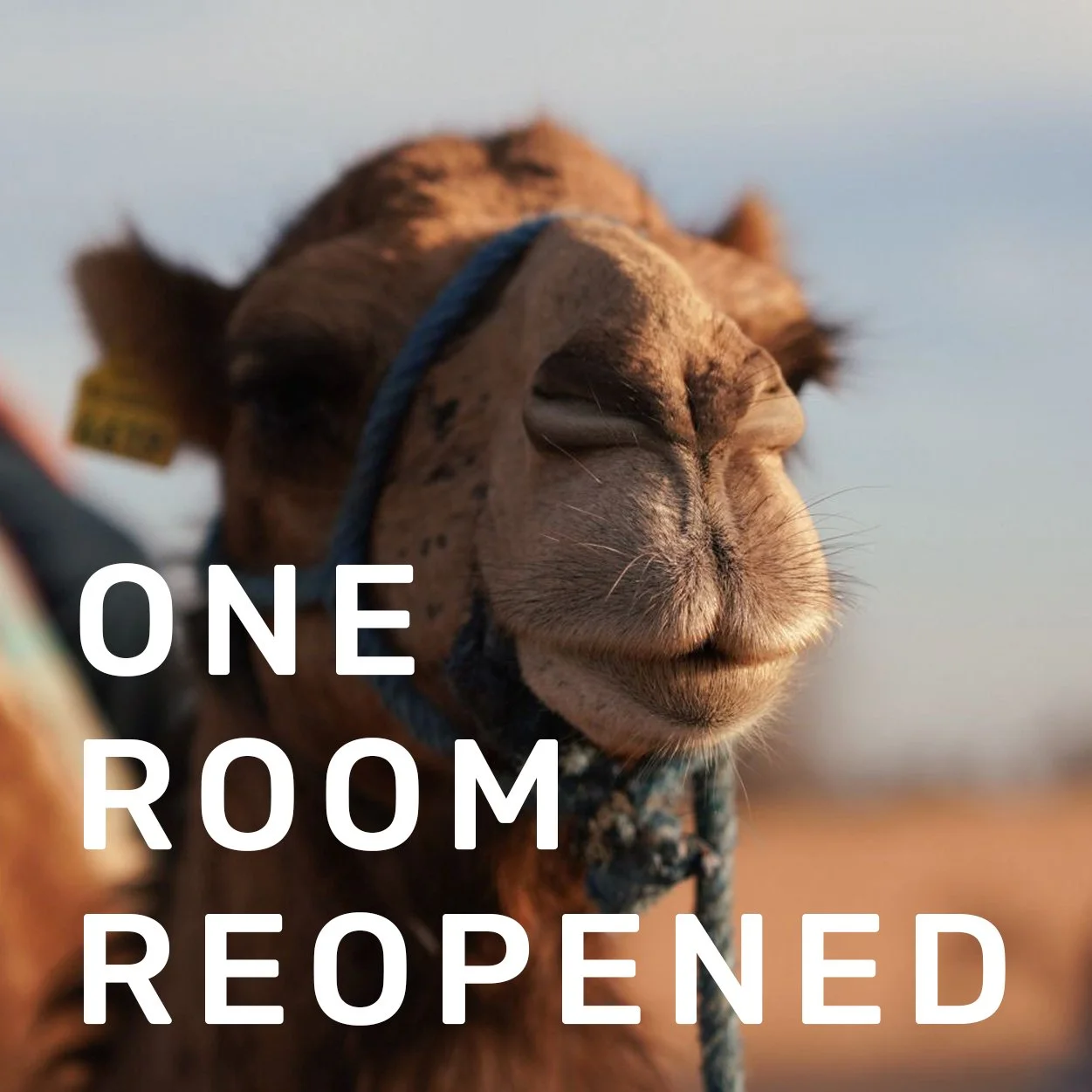 FEB 7-13, 2026 \ MARRAKECH, MOROCCO \ TRAVEL PAINTING & DRAWING