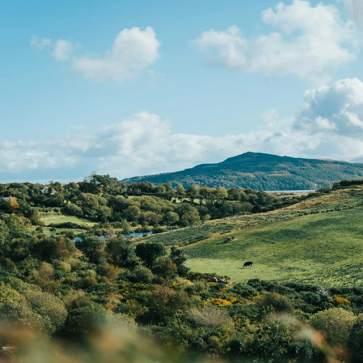 AUG 23-28, 2027 \ IRELAND \ ART + WELLNESS + CULTURE