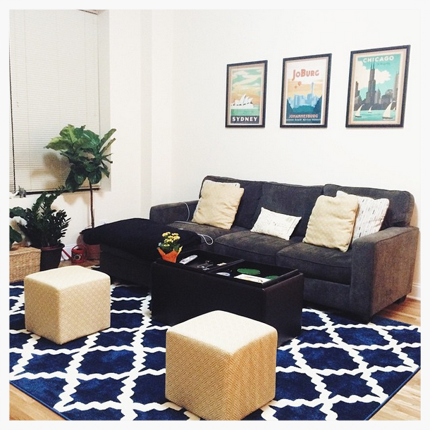 Rug from Cozy Rugs | Fiddle lead fig tree from Gethsemane Garden Center