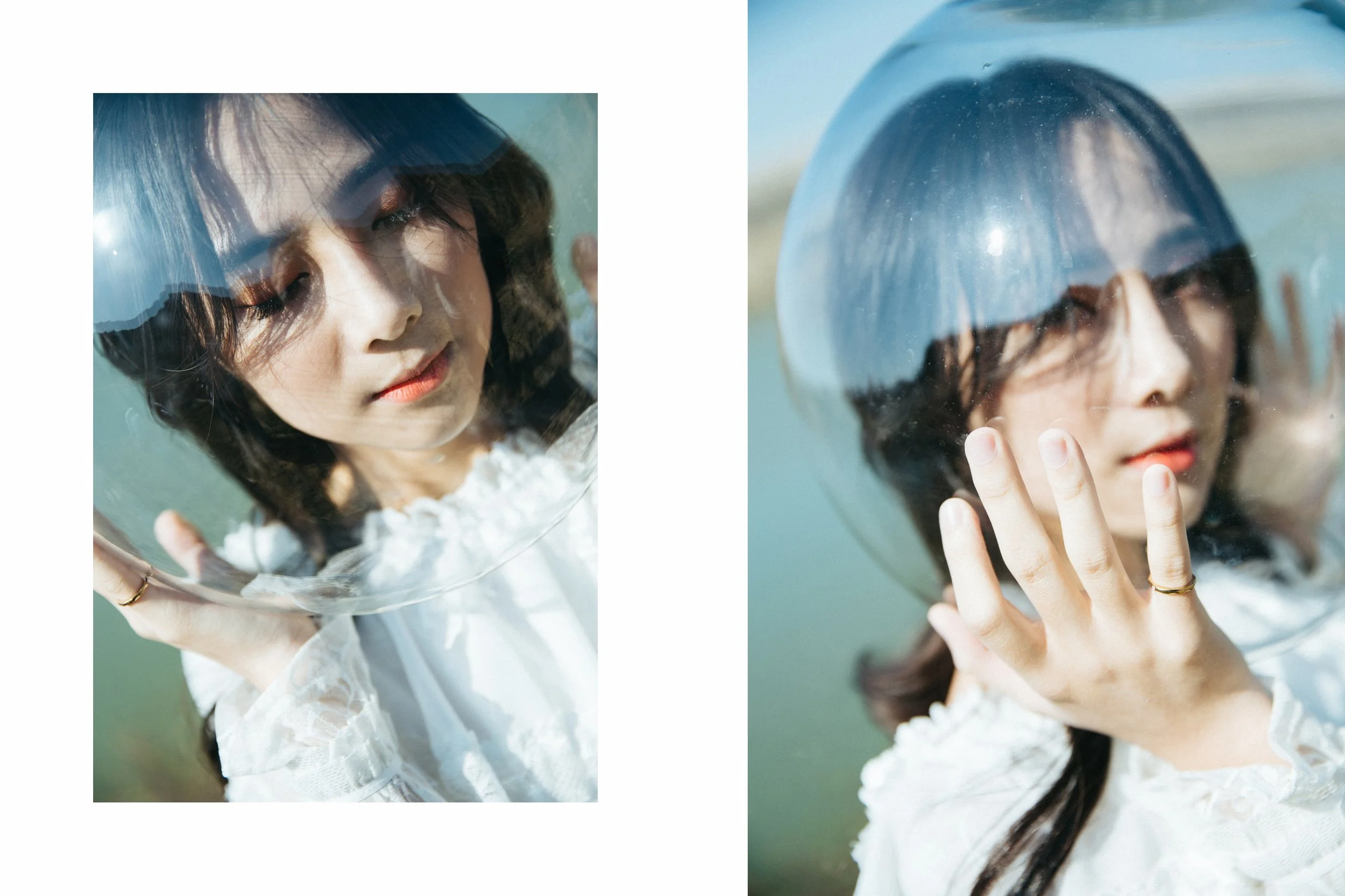 那天，我們一起追逐陽光追逐...哞~~~