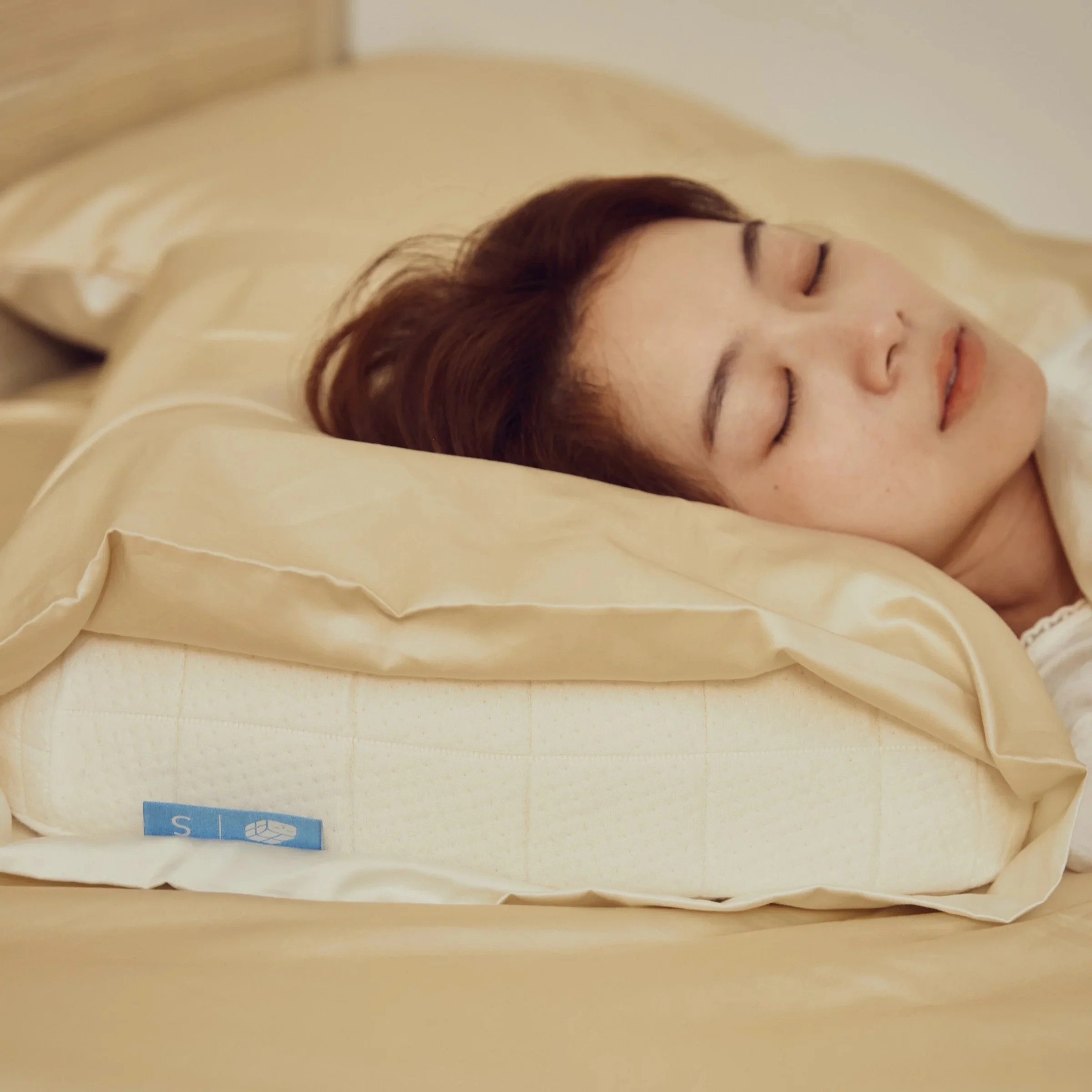 Jane X SLEEPY TOFU