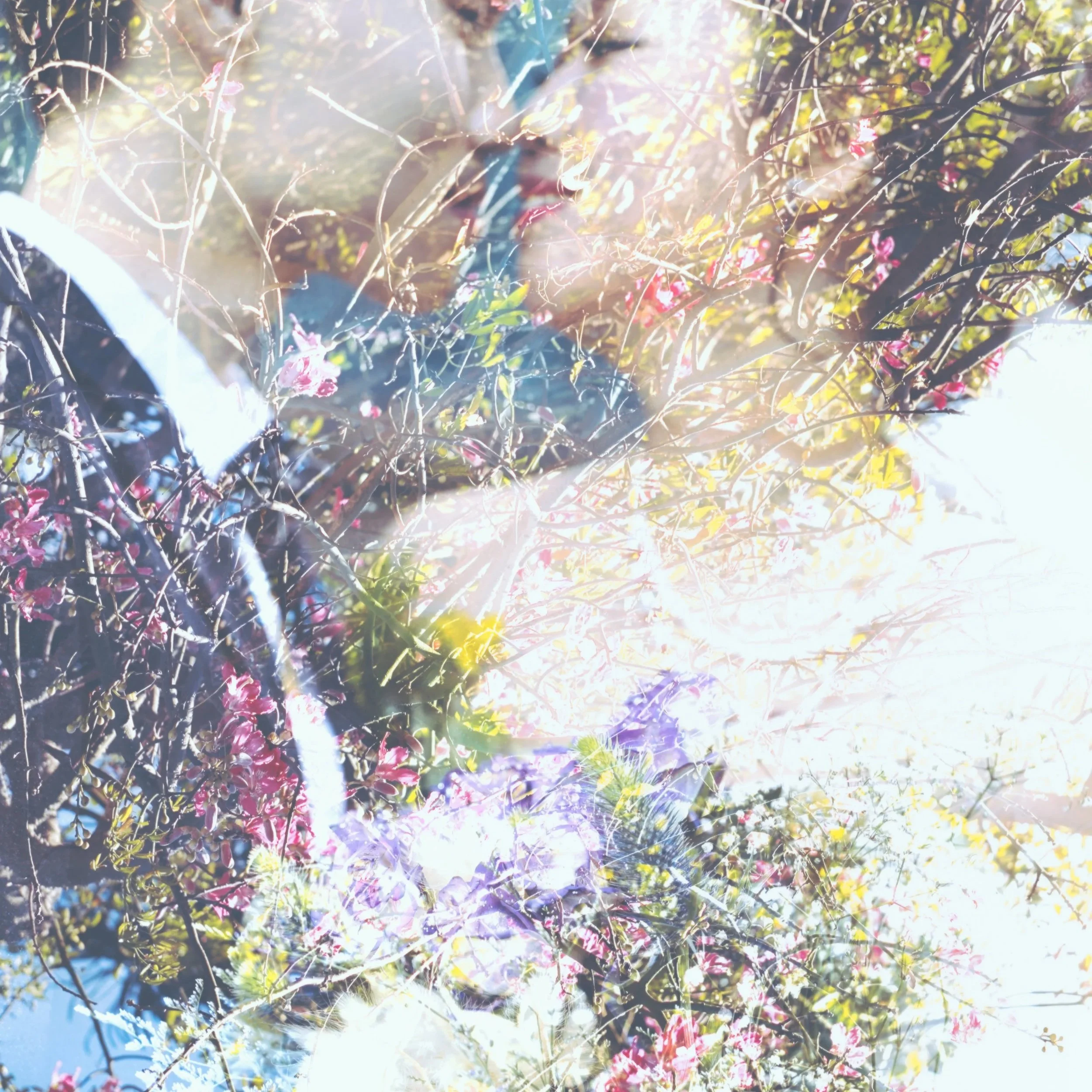 [Wedding] S+S @故宮晶華