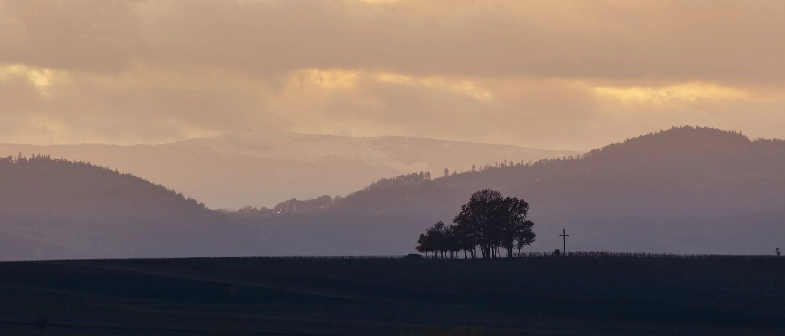 1R5A8420-Enhanced-NR.jpg