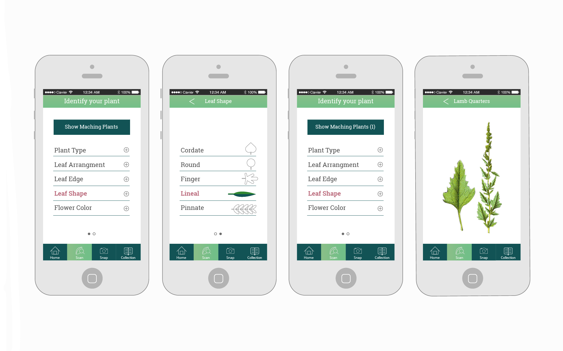 Developed UI for Scan page.