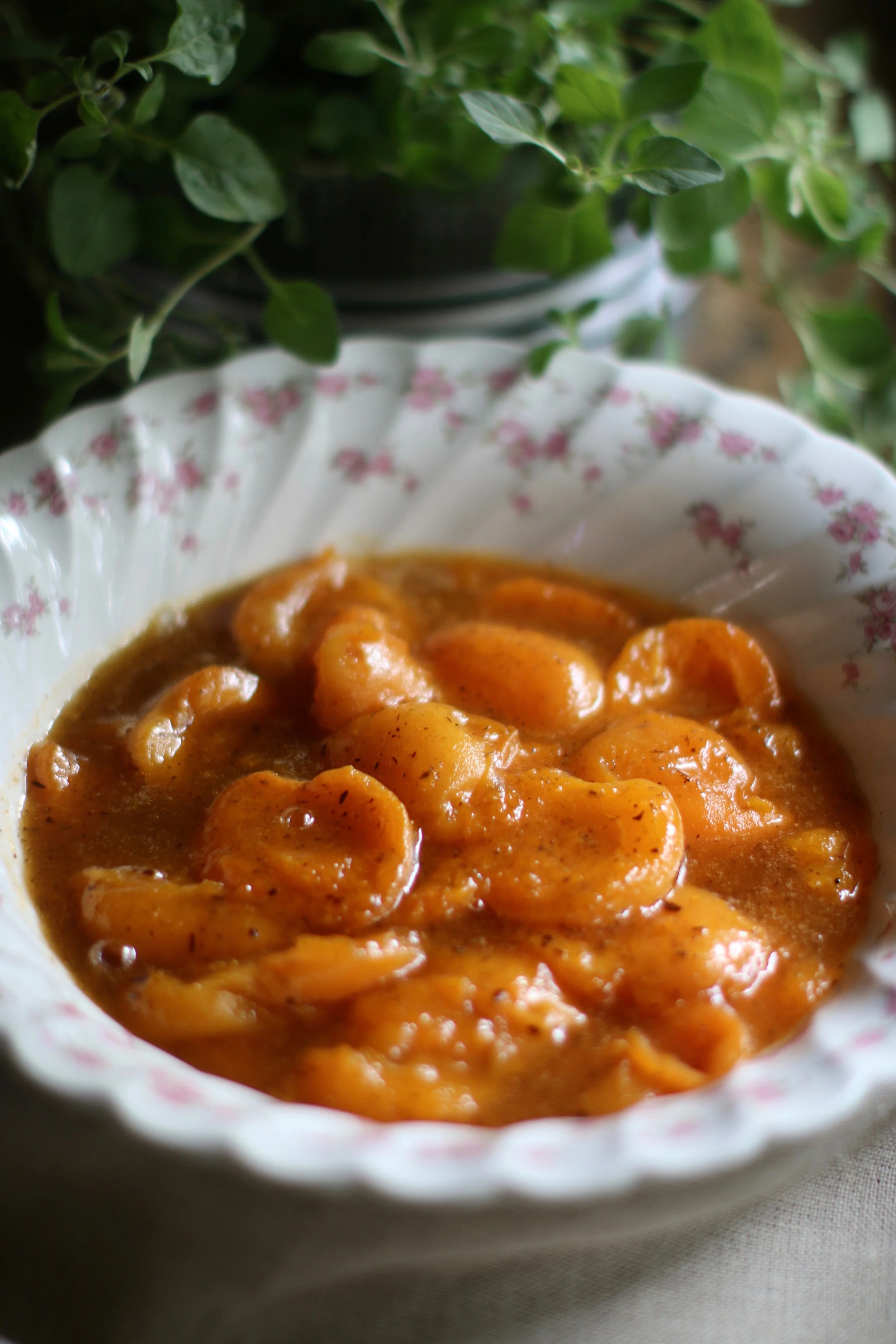 Stewed Apricots — Y Delicacies