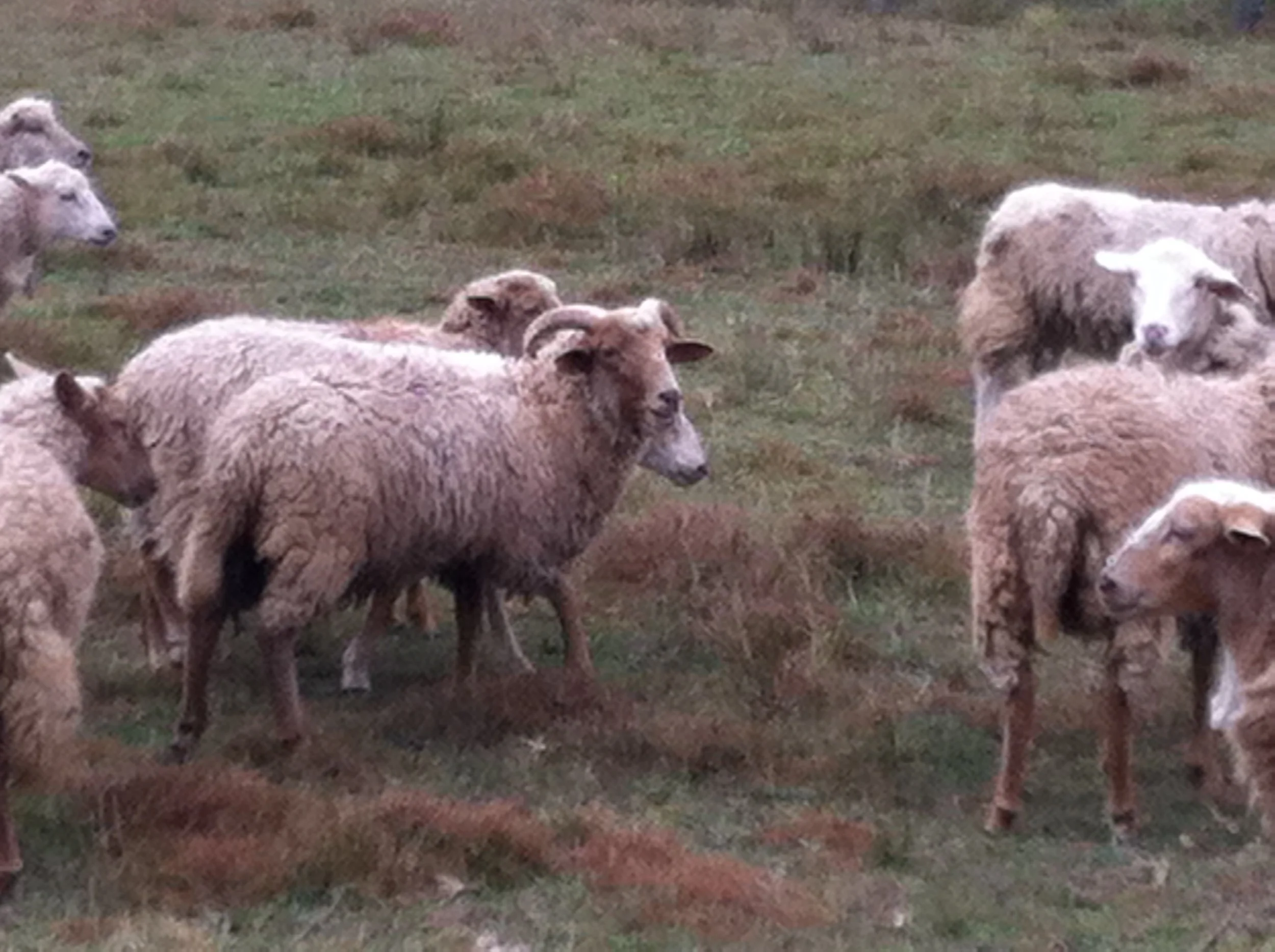 Transferred Jan 8 2014 044.JPG