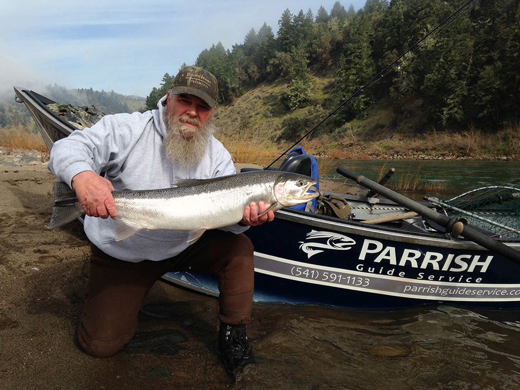 Umpqua Steelhead