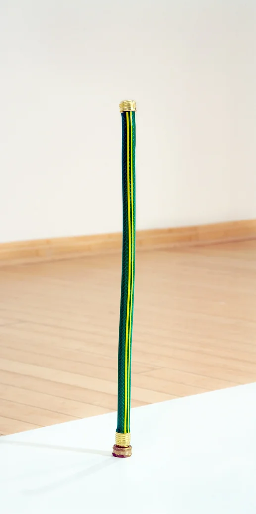 tinyhose.jpg