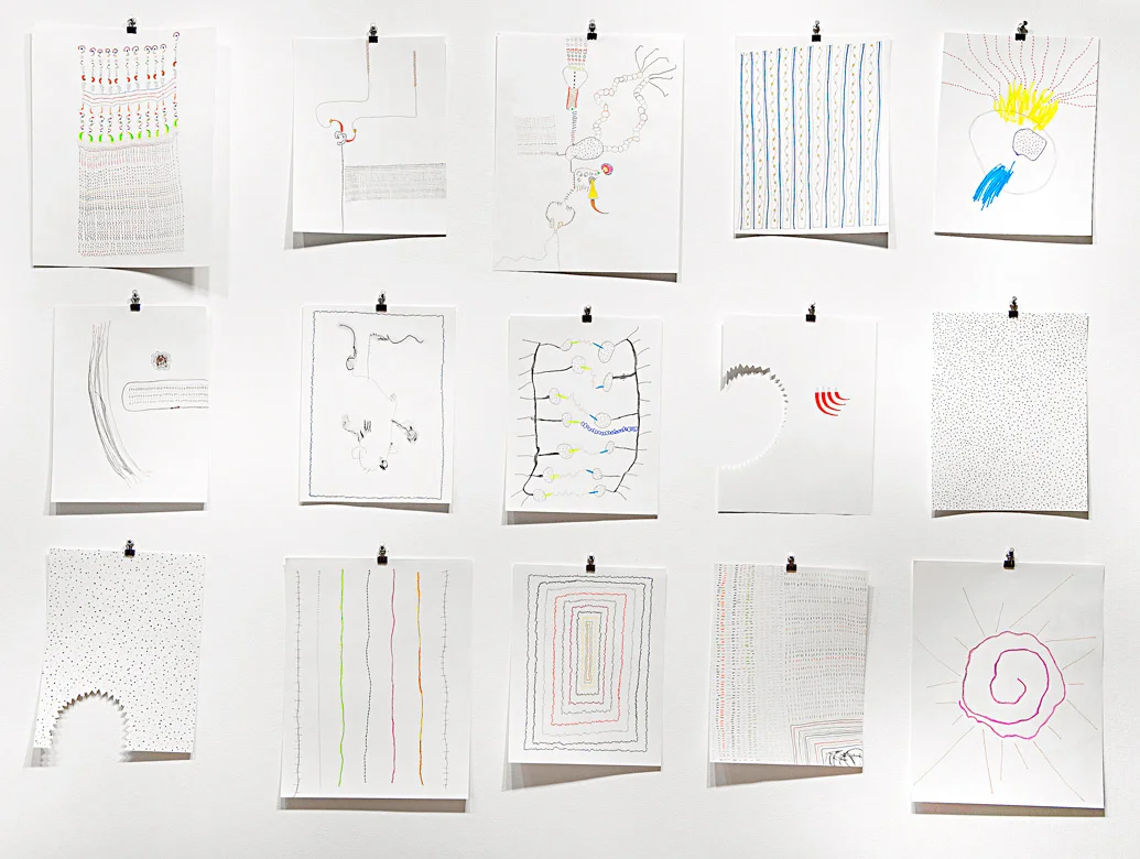 Fields studies 2012