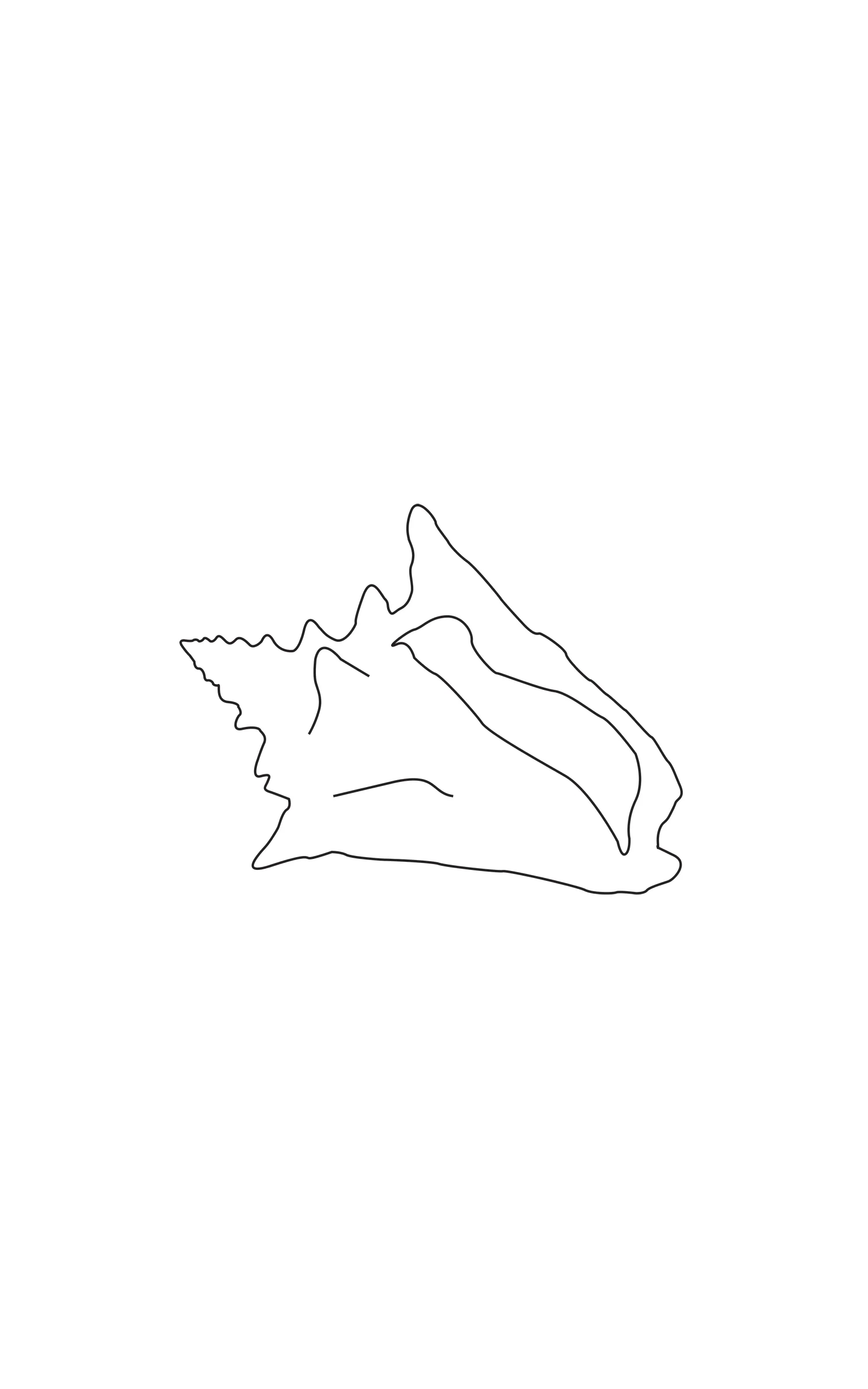 Untitled (shell) 2013