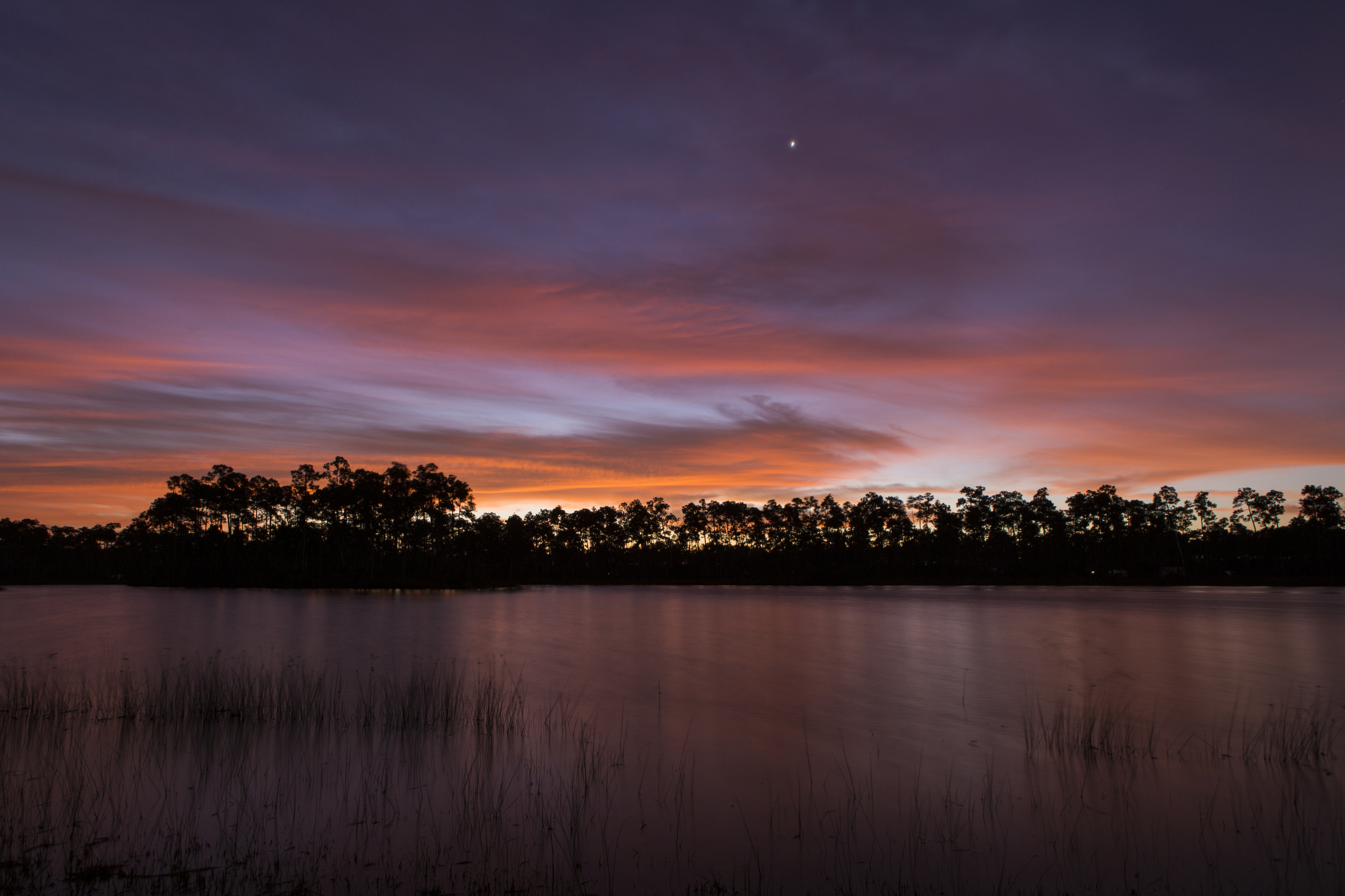 Everglades Sunrise