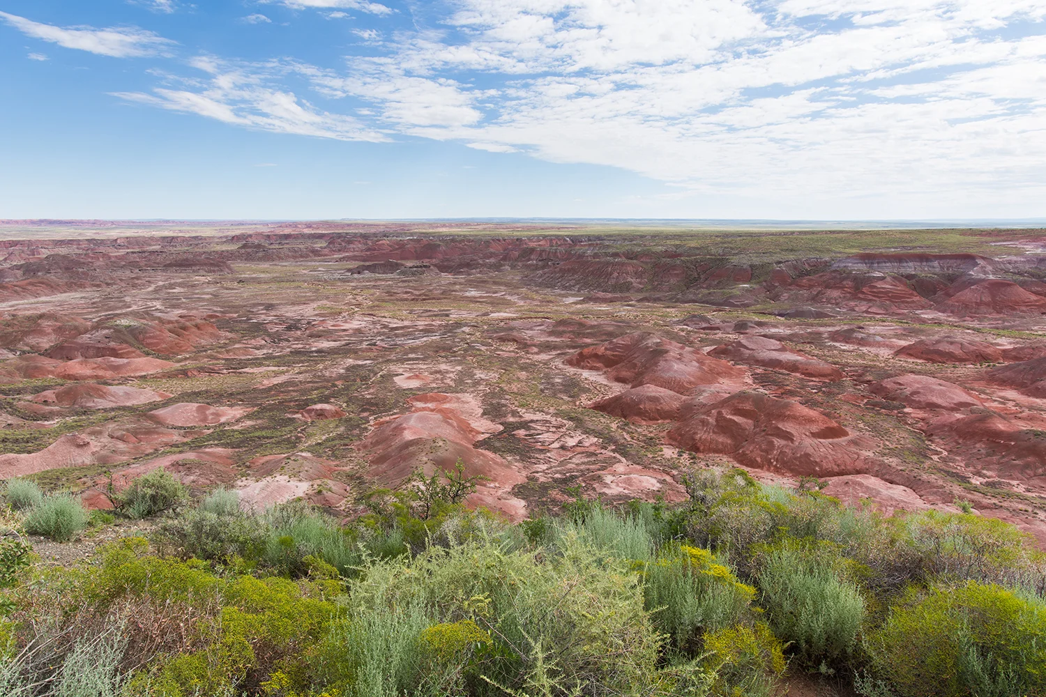 The Painted Desert