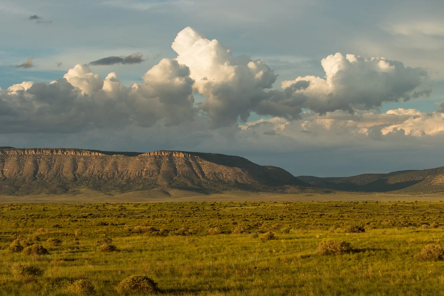 Arizona range