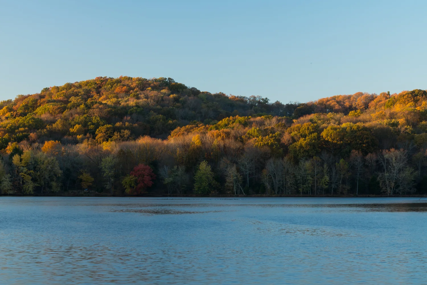 Radnor Lake State Park