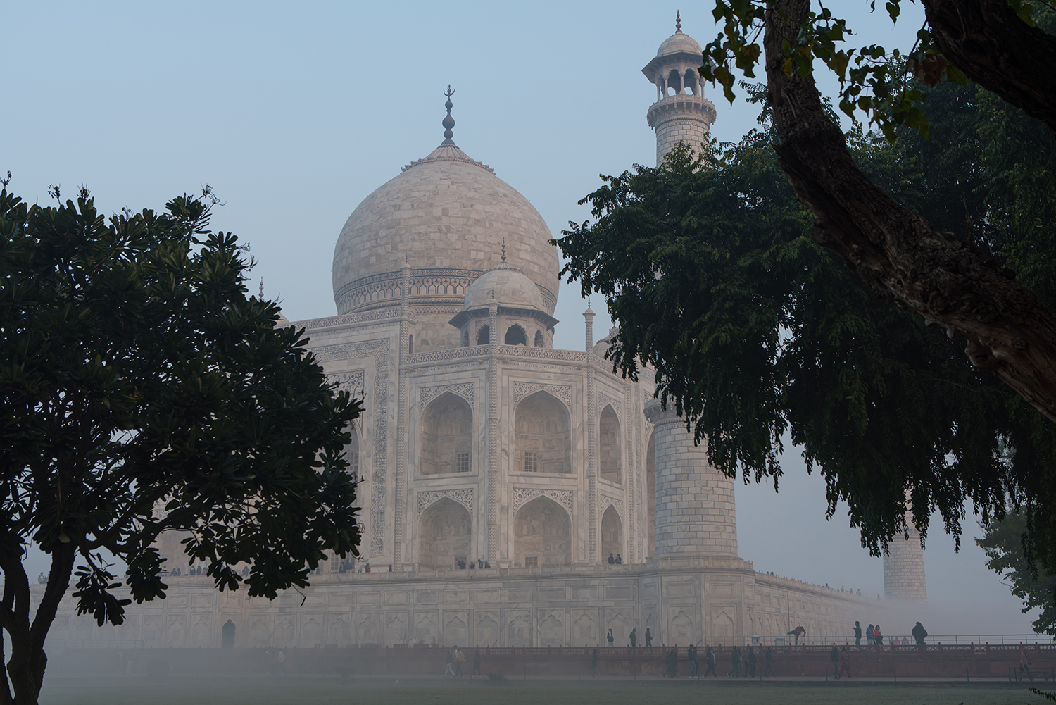 The Taj Mahal through the surrounding trees.
