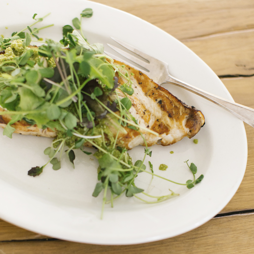 grilled swordfish with pesto + greens