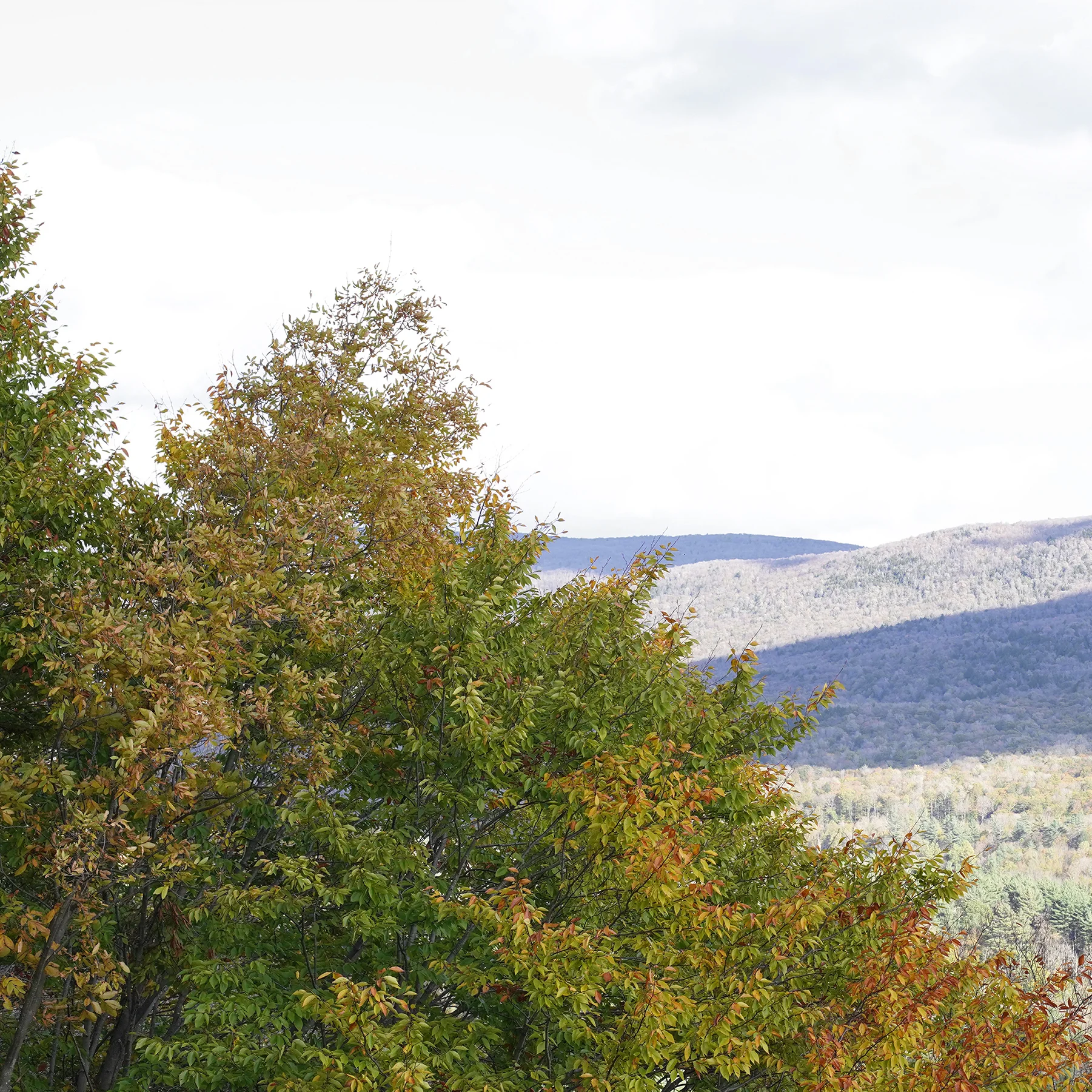 Mount Equinox Skyline Drive