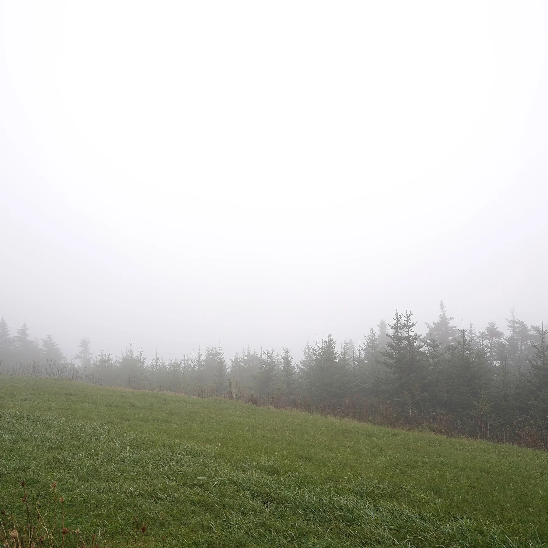 Mount Equinox Skyline Drive
