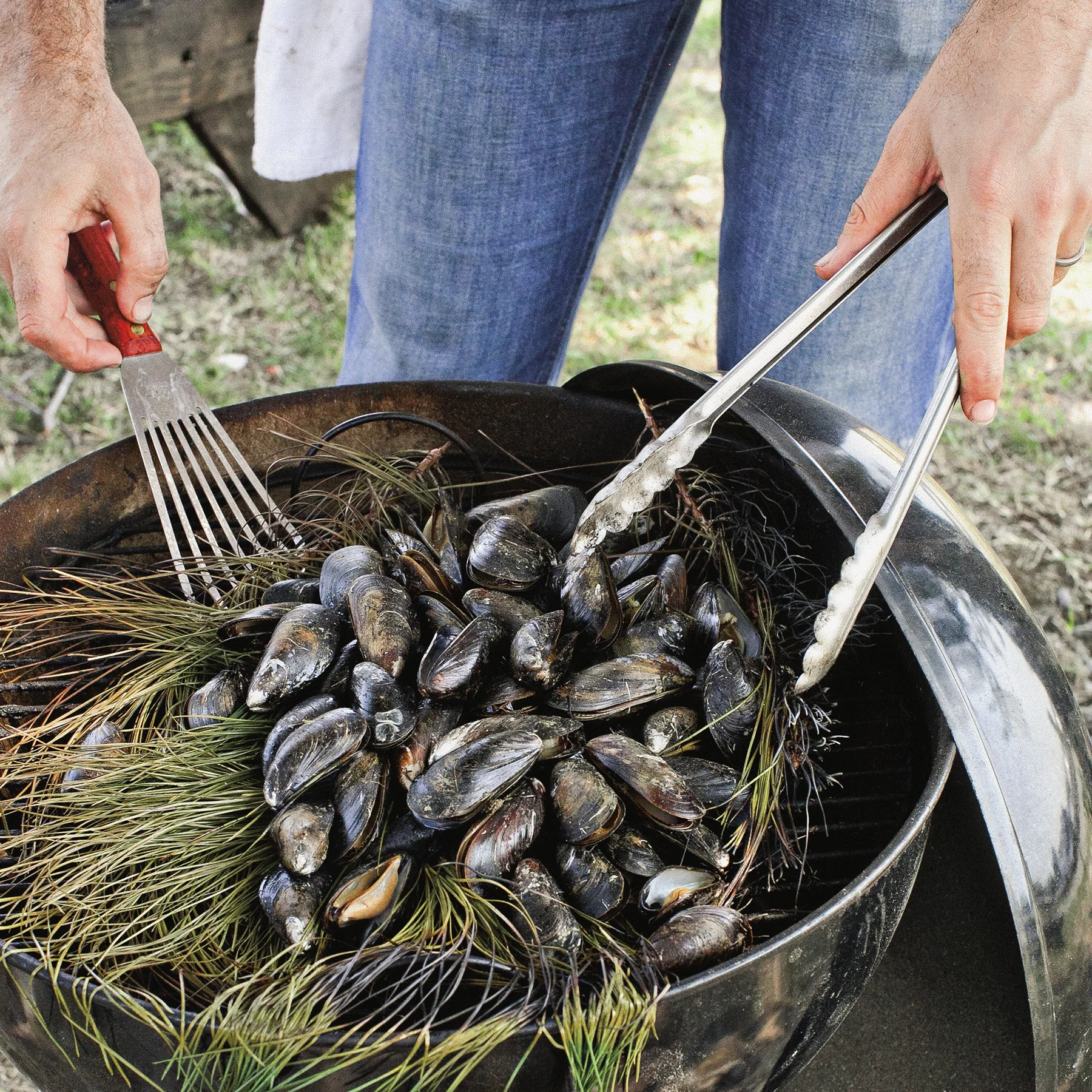 pine bough-grilled mussels with aioli