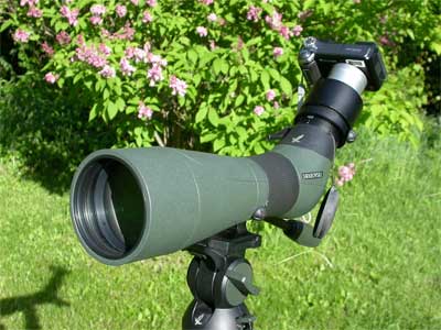 My First Digiscoping Rig